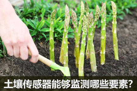 土壤傳感器在土壤墑情監(jiān)測中的作用
