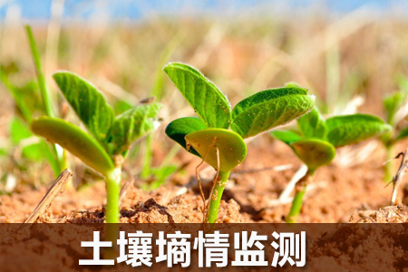 選擇土壤溫濕度傳感器時要注意哪些