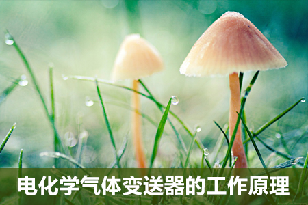 電化學氣體變送器的工作原理