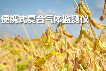 便攜式四合一氣體監(jiān)測儀的操作教程