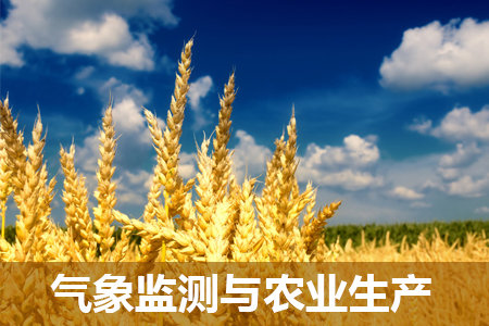 氣象監(jiān)測與農(nóng)業(yè)生產(chǎn)之間的關(guān)系