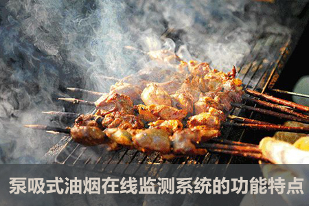 泵吸式油煙在線監(jiān)測系統(tǒng)