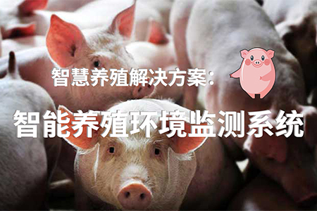 日本逐漸普及“智能畜產(chǎn)” 畜牧業(yè)生產(chǎn)率明顯提高