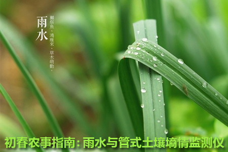 雨水與管式土壤墑情監(jiān)測儀