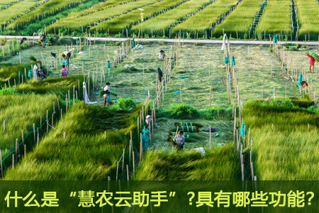 什么是“慧農(nóng)云助手”？