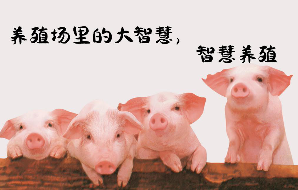 智慧養(yǎng)殖環(huán)境監(jiān)測(cè)解決方案