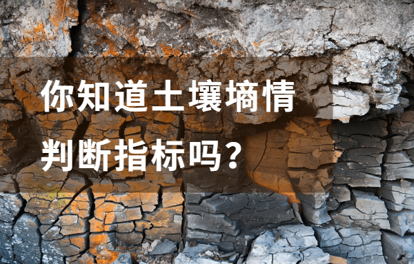 土壤墑情監(jiān)測(cè)系統(tǒng)如何感知土壤墑情變化