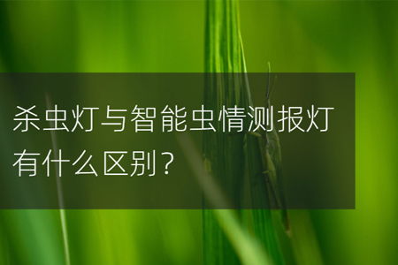 殺蟲燈與智能蟲情測(cè)報(bào)儀有什么區(qū)別