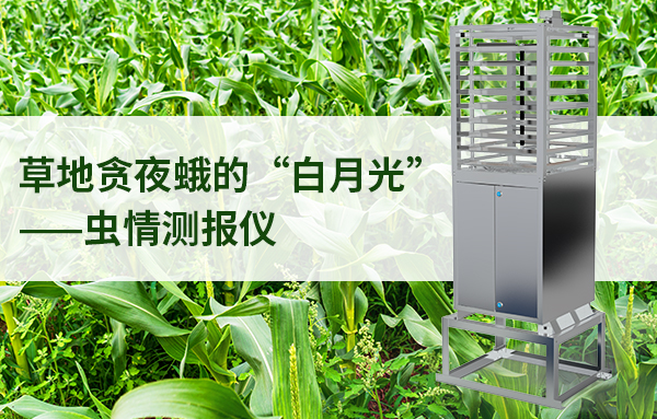 蟲(chóng)情測(cè)報(bào)儀在防治草地貪夜蛾中發(fā)揮的作用