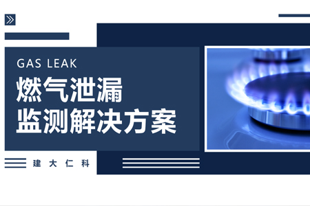 燃?xì)庑孤┍O(jiān)測解決方案