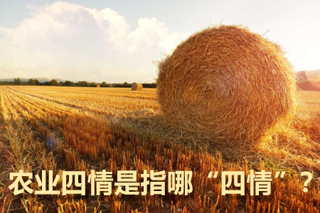 農(nóng)業(yè)四情是指哪“四情”