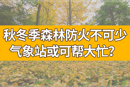 森林防火不可少，氣象站或可幫大忙