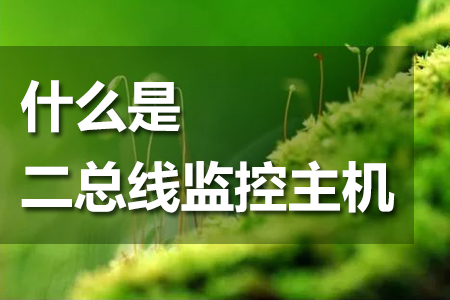 二總線監(jiān)控主機(jī)具有哪些功能