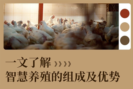 一文了解智慧養(yǎng)殖的組成及優(yōu)勢(shì)