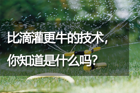 比滴灌更牛的技術，你知道是什么嗎
