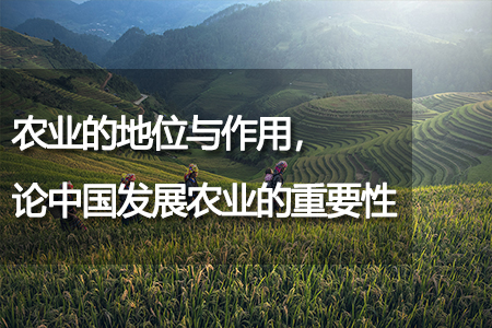 農(nóng)業(yè)的地位與作用，論中國發(fā)展農(nóng)業(yè)的重要性