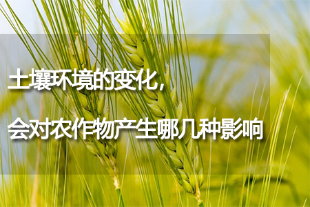 土壤環(huán)境的變化，會(huì)對(duì)農(nóng)作物產(chǎn)生哪幾種影響