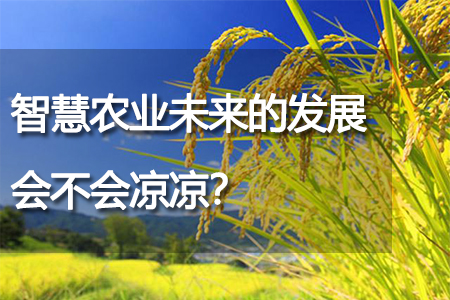 智慧農(nóng)業(yè)未來的發(fā)展