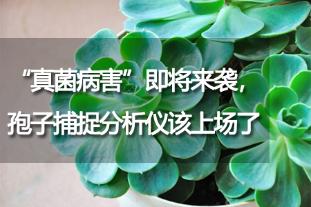 孢子捕捉分析儀