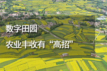 數(shù)字田園 農(nóng)業(yè)豐收有“高招”