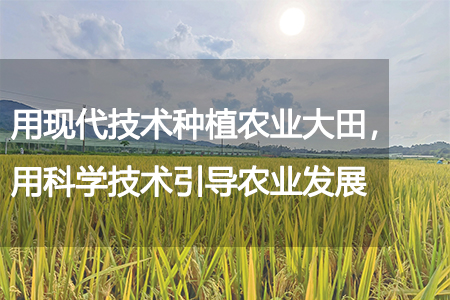 用現(xiàn)代技術(shù)種植農(nóng)業(yè)大田