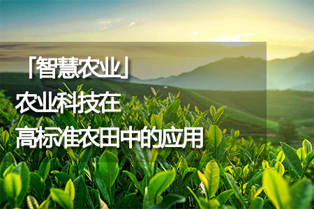 農(nóng)業(yè)科技在高標準農(nóng)田中的應用