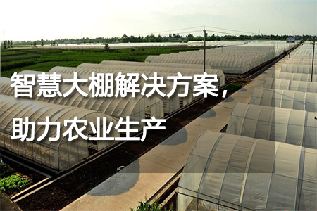 智慧大棚解決方案，助力農(nóng)業(yè)生產(chǎn)