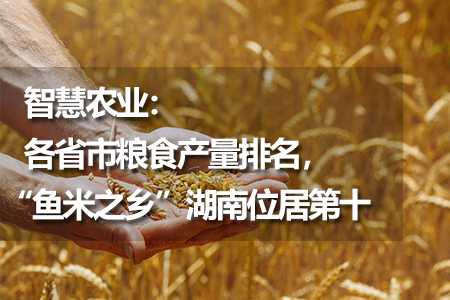 智慧農(nóng)業(yè)：各省市糧食產(chǎn)量排名，“魚米之鄉(xiāng)”湖南位居第十