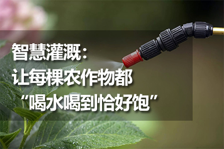 智慧灌溉