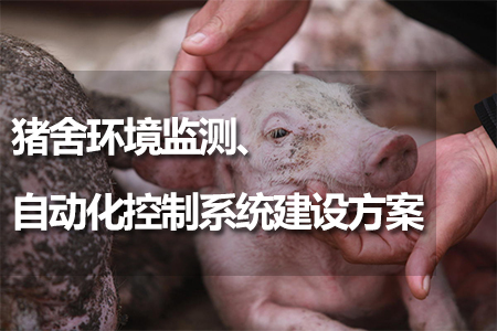 豬舍環(huán)境監(jiān)測(cè)、自動(dòng)化控制系統(tǒng)建設(shè)方案