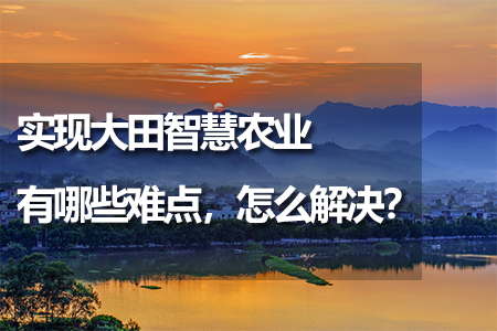 實(shí)現(xiàn)大田智慧農(nóng)業(yè)有哪些難點(diǎn)