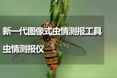 蟲情測(cè)報(bào)儀