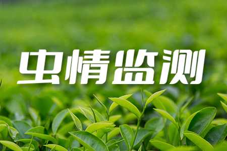 農(nóng)林業(yè)專用智能蟲情測報(bào)儀