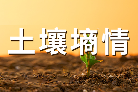 LORA無線土壤在線集中監(jiān)測(cè)系統(tǒng)