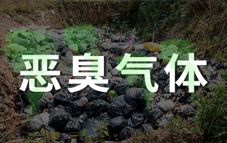惡臭氣體檢測傳感器