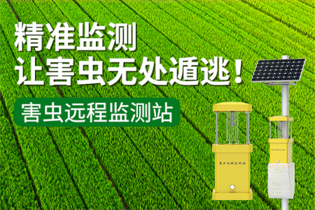 害蟲(chóng)遠(yuǎn)程監(jiān)測(cè)站