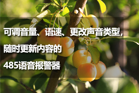 隨時更新內(nèi)容的485語音報(bào)警器