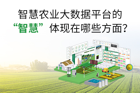 智慧農(nóng)業(yè)大數(shù)據(jù)平臺
