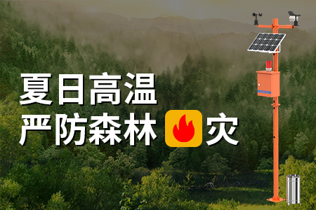 森林防火有多重要