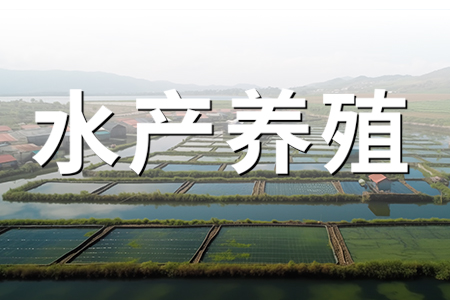 水產(chǎn)養(yǎng)殖水質(zhì)監(jiān)測