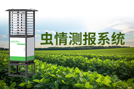 蟲情測報系統(tǒng)
