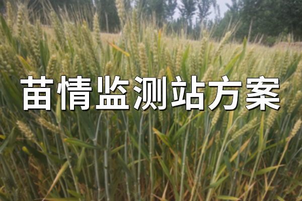 苗情監(jiān)測(cè)站方案