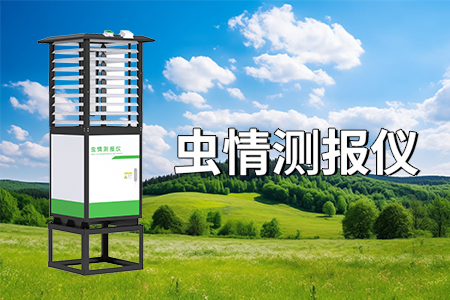 蟲情測報系統(tǒng)的功能與應用價值
