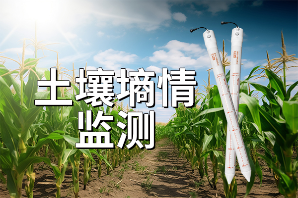 土壤,墑情,監(jiān)測儀,—,全面,了解,信息,產(chǎn)品,概述,土壤,墑情,監(jiān)測儀,是一,款以,介電常數(shù),原理,為基礎(chǔ),的,傳感器,。,能夠,針對,不同,層次,水分,含量,以及,