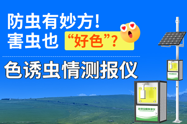 “,色誘,”,技術(shù),助力,物理,防蟲,—,蟲情,測報,儀,不知,大家,有沒有,發(fā)現(xiàn),為何,穿,黃色,衣服,進,果園,會,沾滿,小蟲,茶園,、,菜園,掛著,黃,綠,藍,各色,