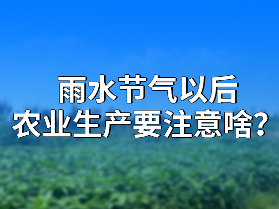 雨水節(jié)氣以后，農(nóng)業(yè)生產(chǎn)要注意啥