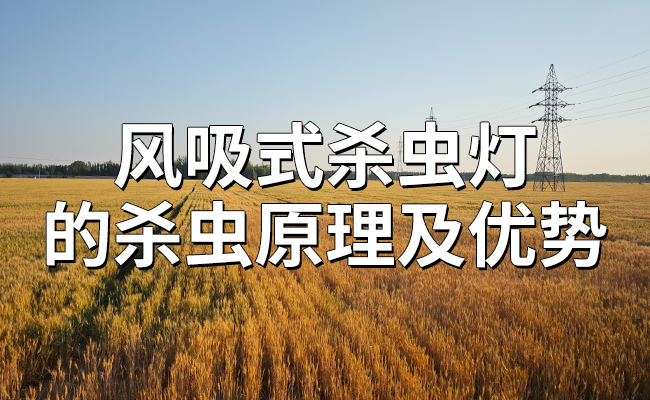 風吸式殺蟲燈的殺蟲原理及優(yōu)勢