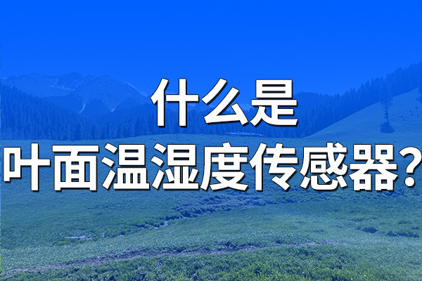 什么是葉面溫濕度傳感器