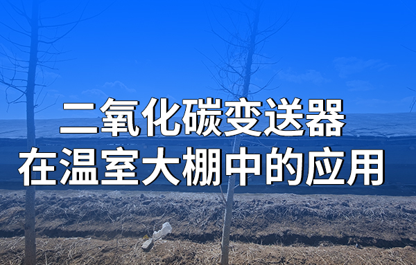 二氧化碳變送器在溫室大棚中的應(yīng)用