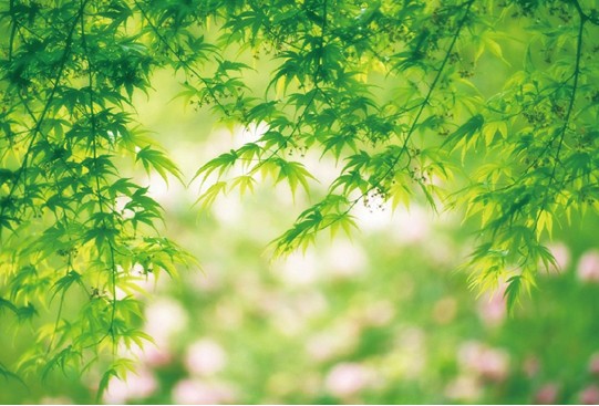 氣體變送器的具體應用